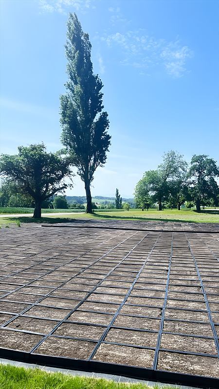 Frisch angelegte Produktionsfläche mit Blick über die Landschaft